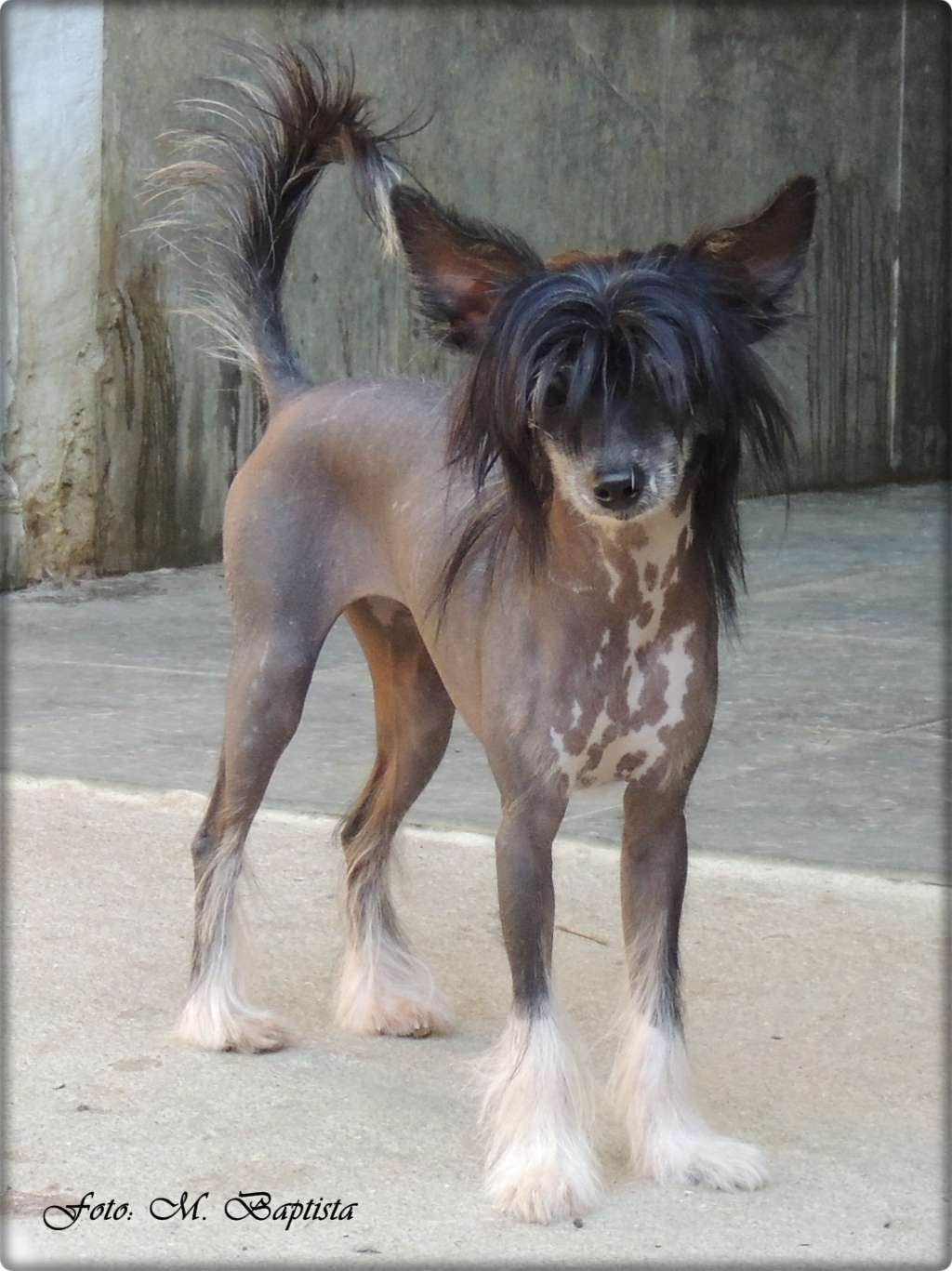 Jewel Hl Of Avalon Land