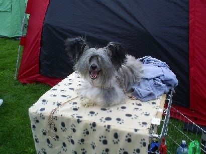 Hibacka's Divine Horus