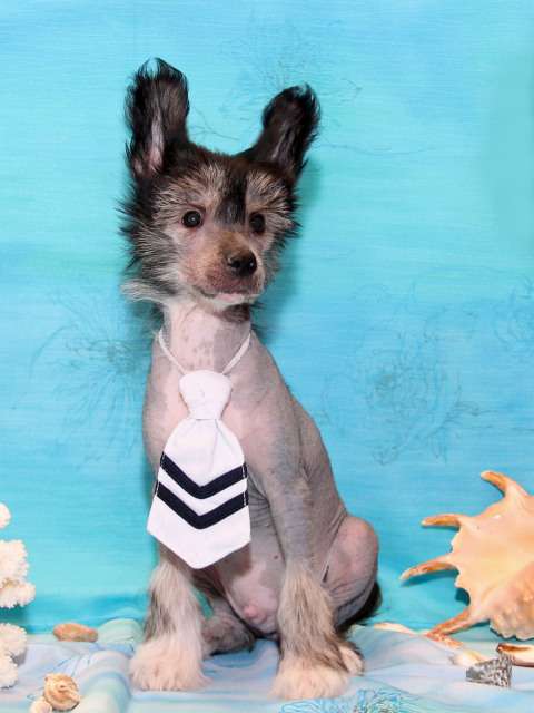 Sky Miracle Rain Silver