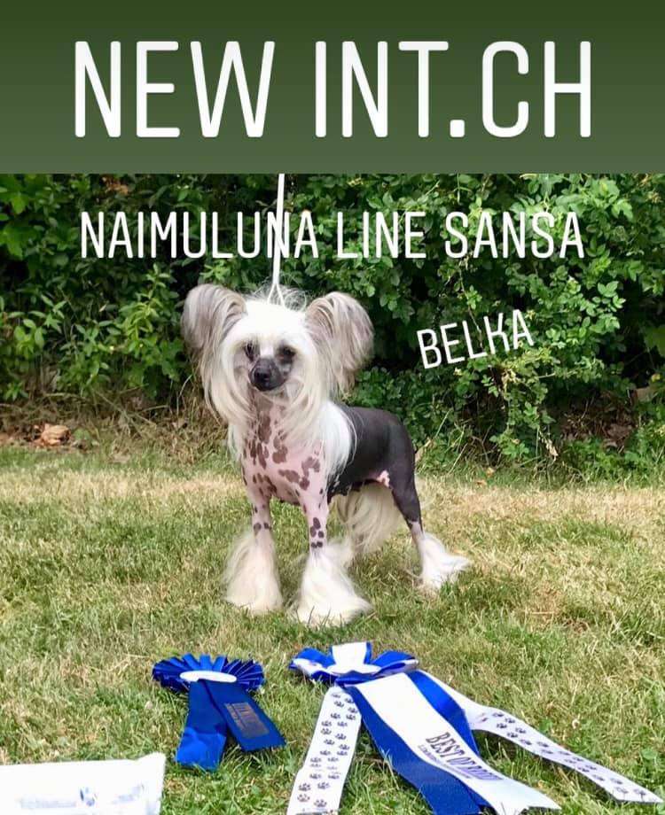 Naimuluna Line Sansa