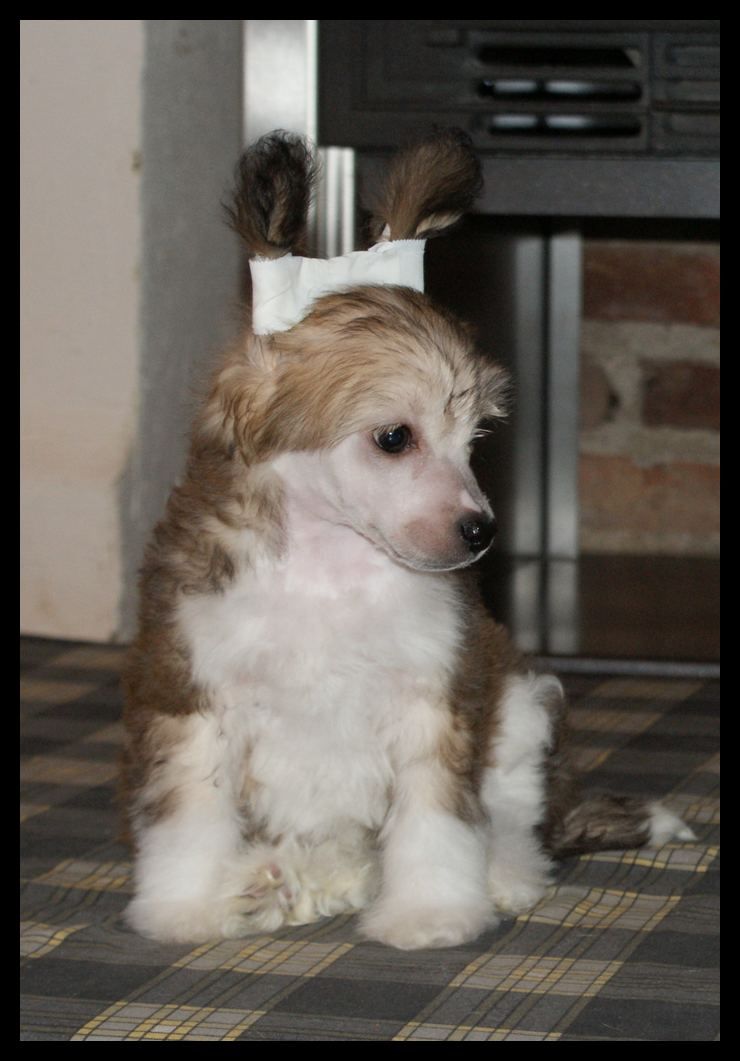 Ermione Du Coeur Des Tenebres