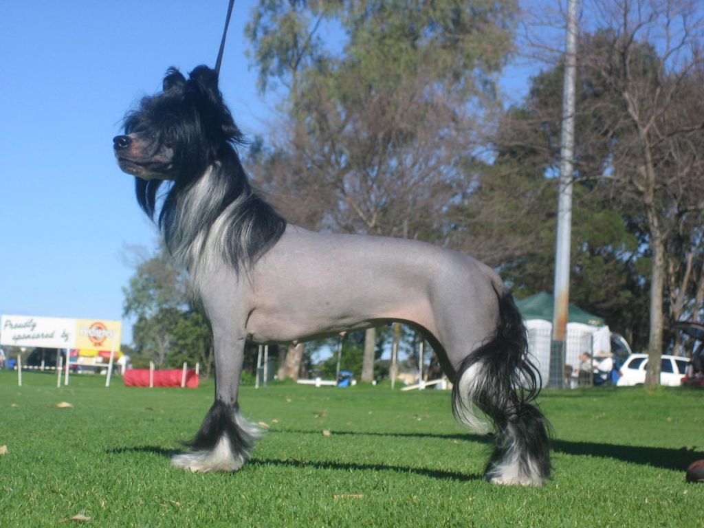 Wumao The Crying Game