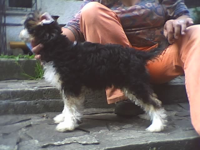 Picture