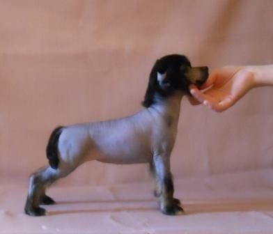 Zholesk It's my Life