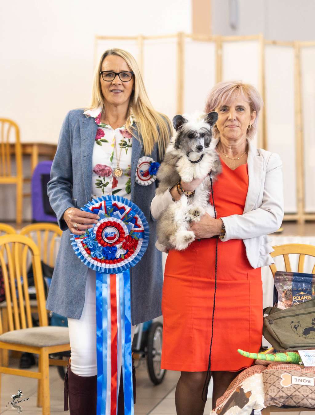 Stolen Sapphire Avokaduh