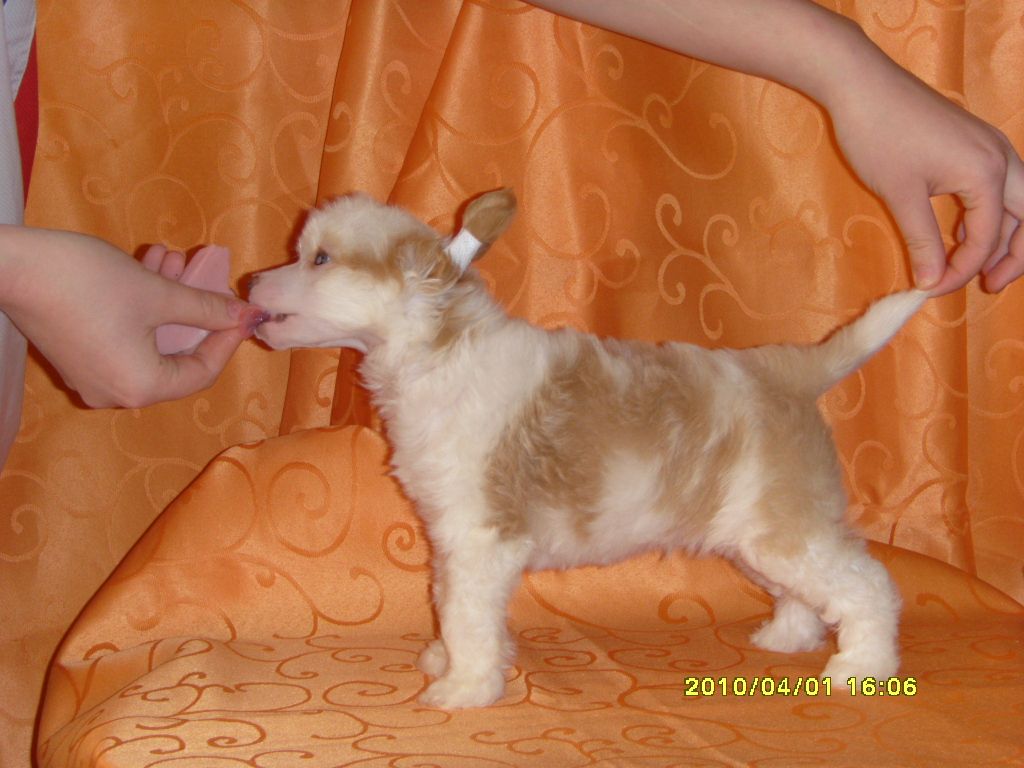 Picture