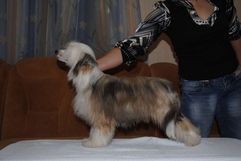 Chantal  Dom Risorto