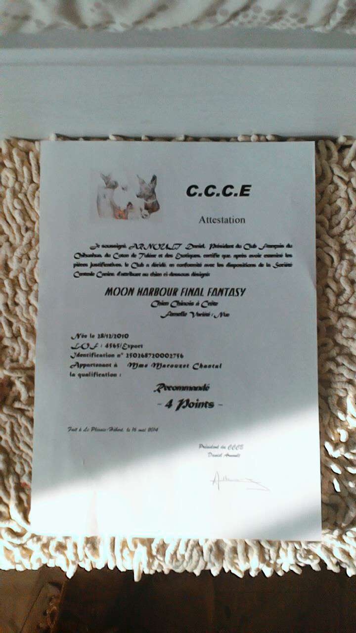 Picture