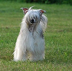 SandStorm Snow-body's Bizness