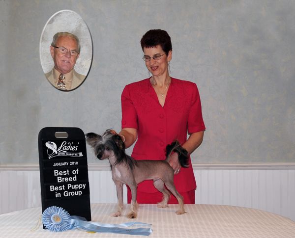 Sunberry's Just A Gigolo