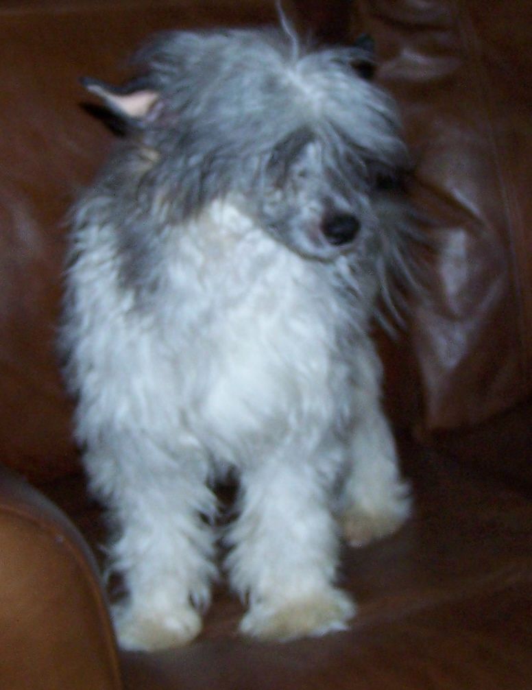 Lancaster's Ricky Ticky Nandico