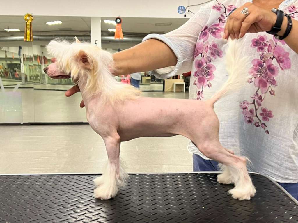 Mashama Mazi Rus Desturi Fana