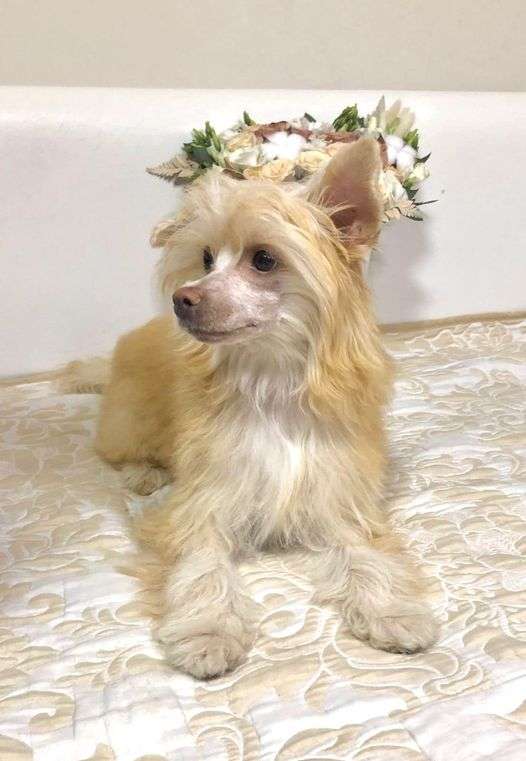 Rolana Family Iriska