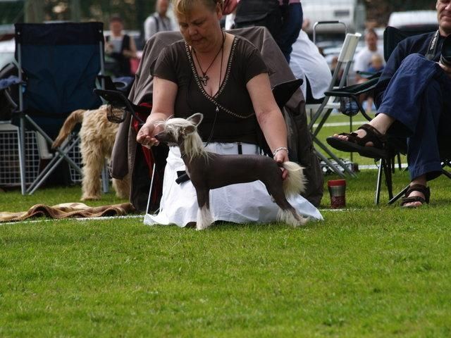 Rhythm for Yokotai de GabriTho