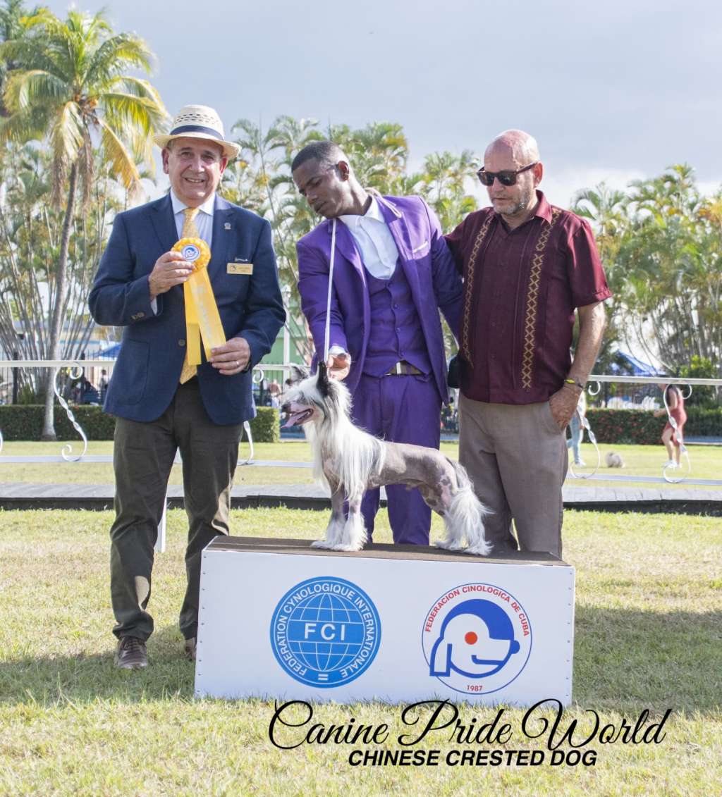 Canine Pride World Sam