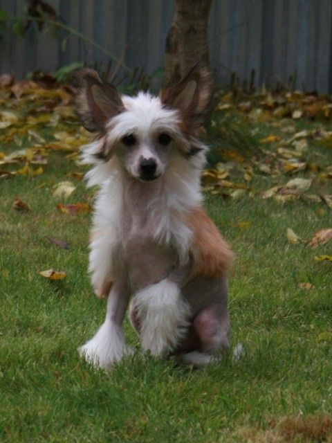 Ksolo Club Alexsandryt