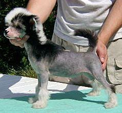 Vanitonia Vivascious Von Lacdee