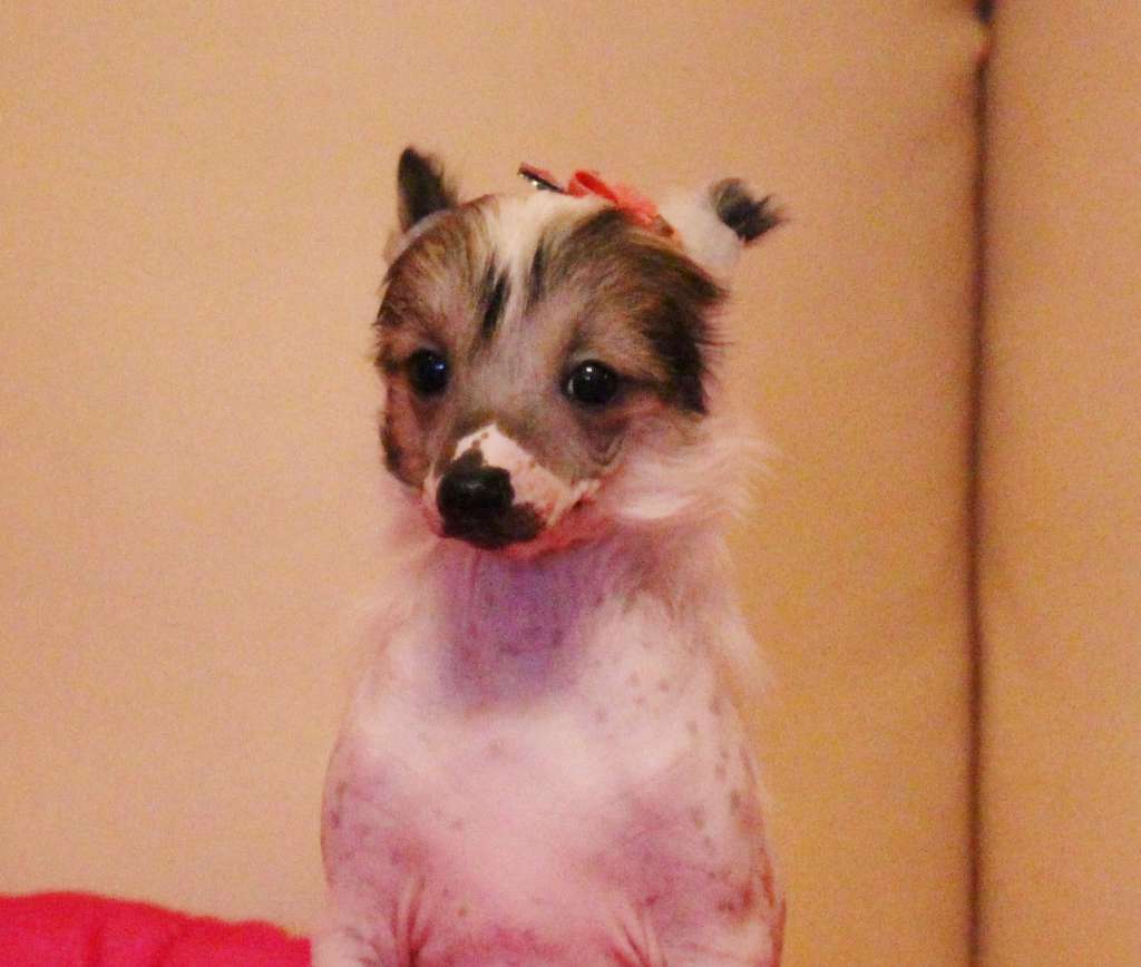 Toskania Capo Vaticano