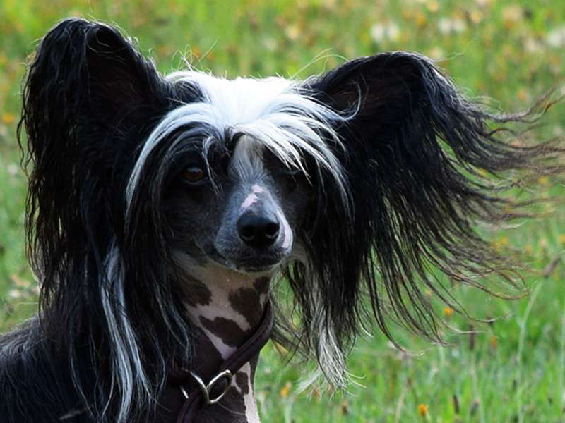 Jesus Joke Amazing Infinity