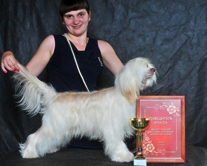 Fedor Vasha Svetlost ot Volnogo Psa