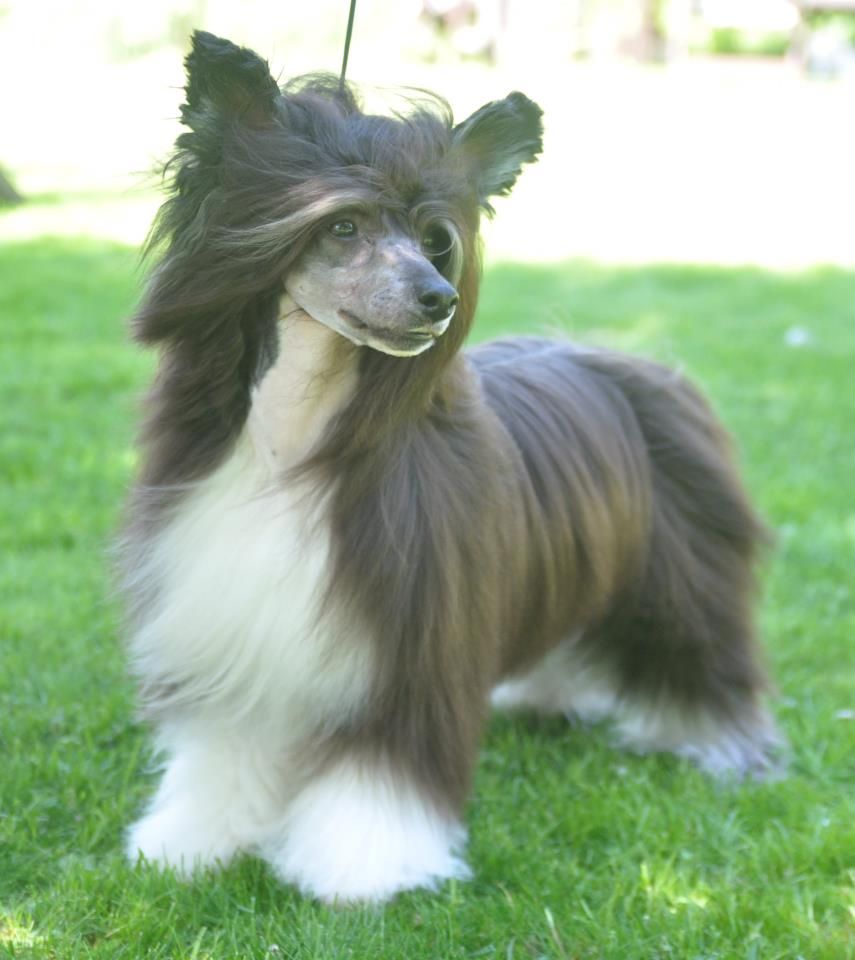 Sun-Hee's Devil In Disguise