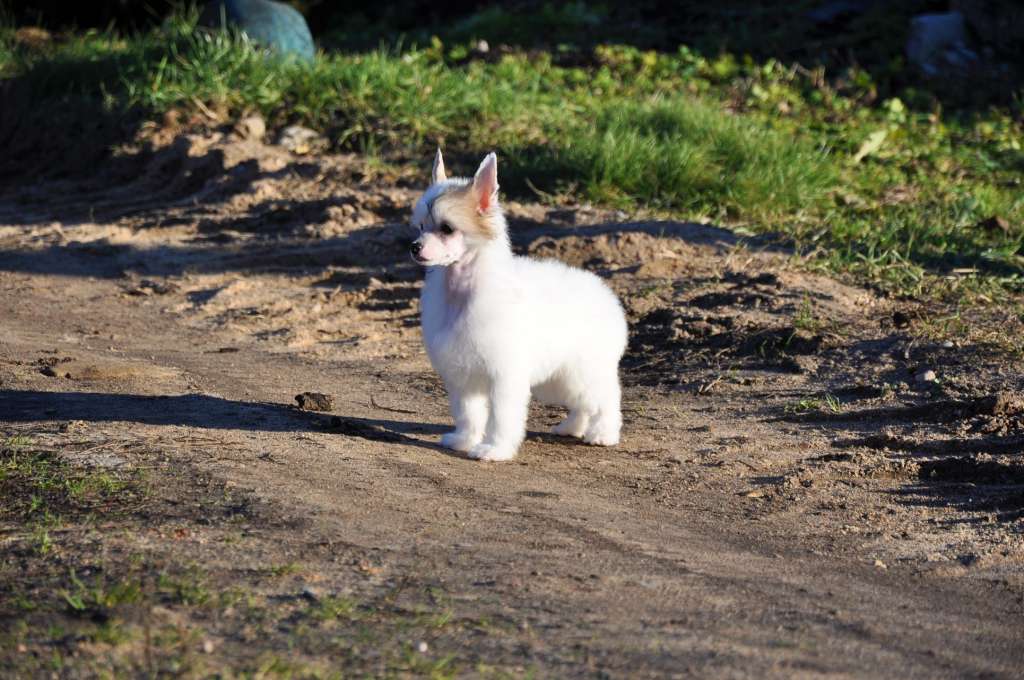Tiffany Winning Smile