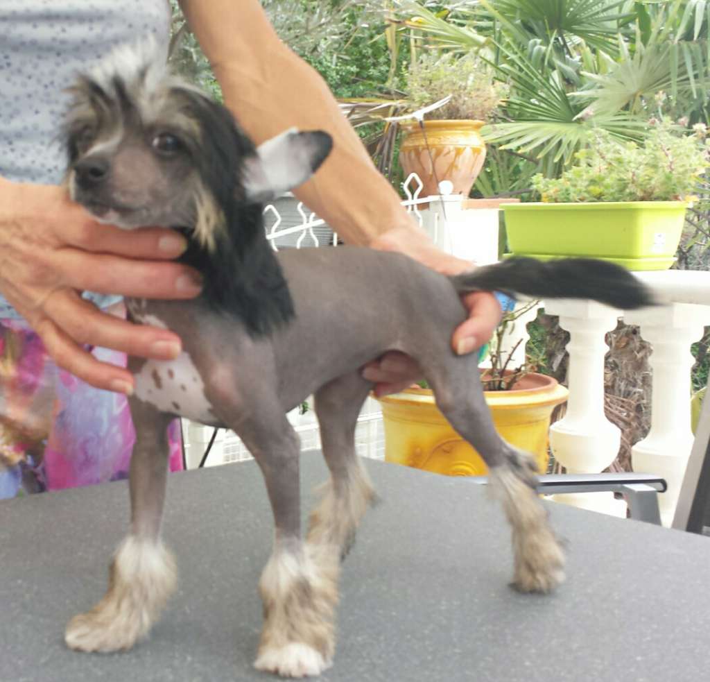 Louna des Picholines