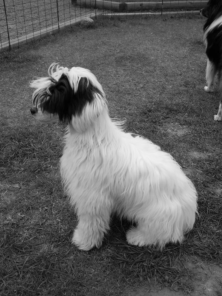 M-Ligans Up Side Down