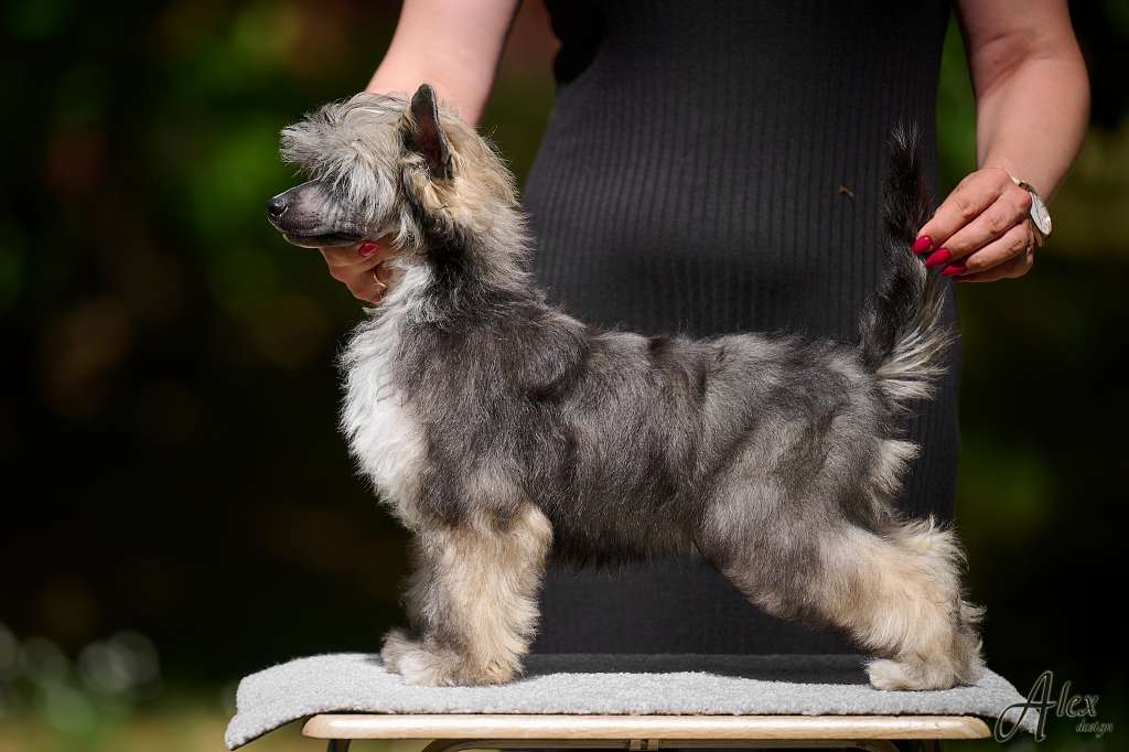 Kraspamir Inner Light