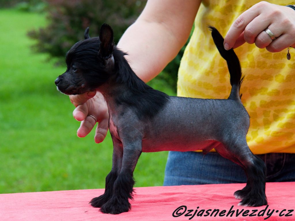 Charmer z Jasne hvezdy