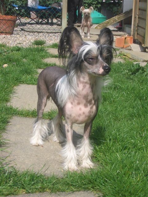 Dream Space Hellada Heis Ot Chifa