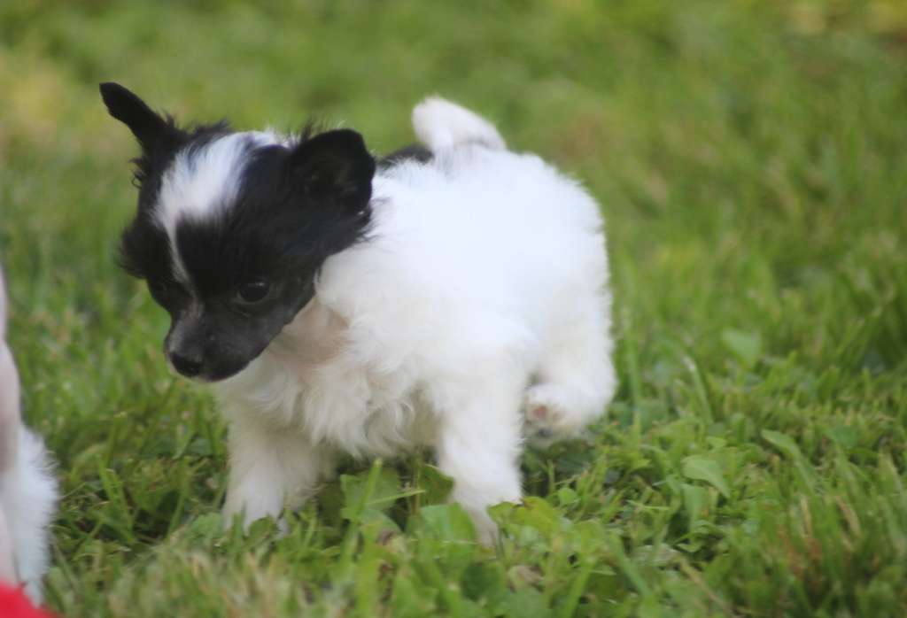 Moon Harbour So Cute