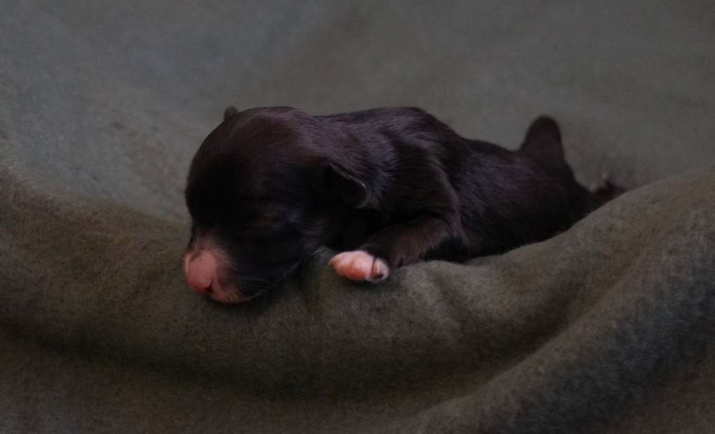 Ghost by Little Jade