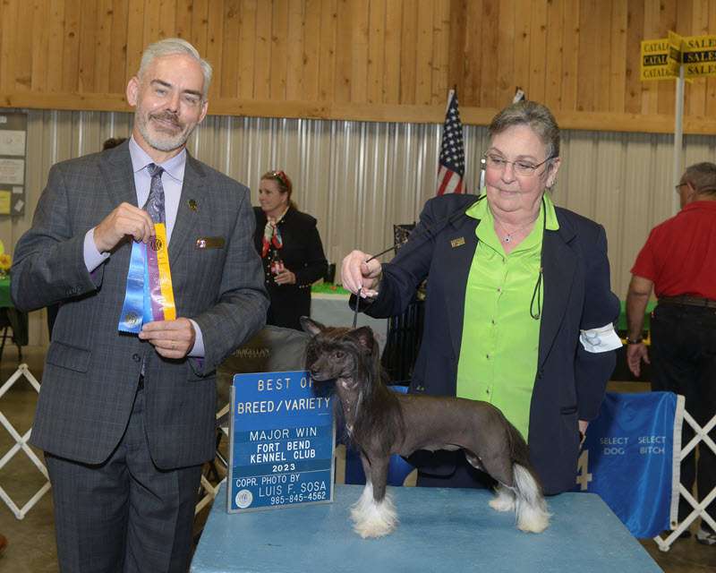 Marquis Party In Ur Bare Black Booty HL