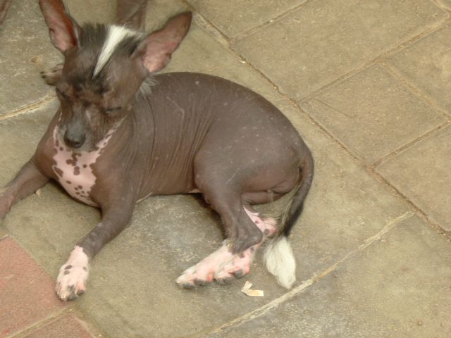 Maàlablya's Fairuza