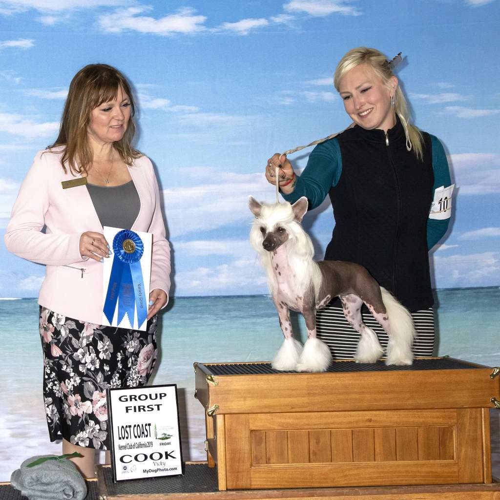 Solino's She is the One