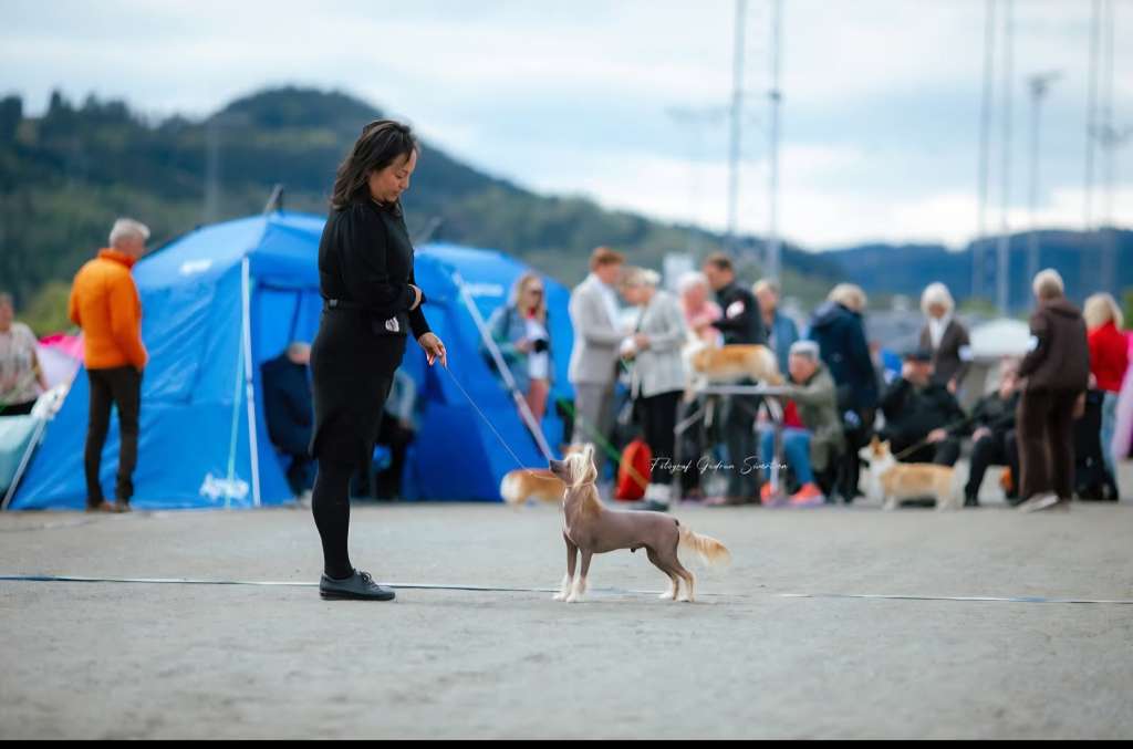 Eventyrvannets Quickstep Quest