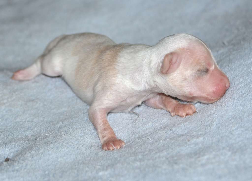 Magic of Success Indescribable Delight