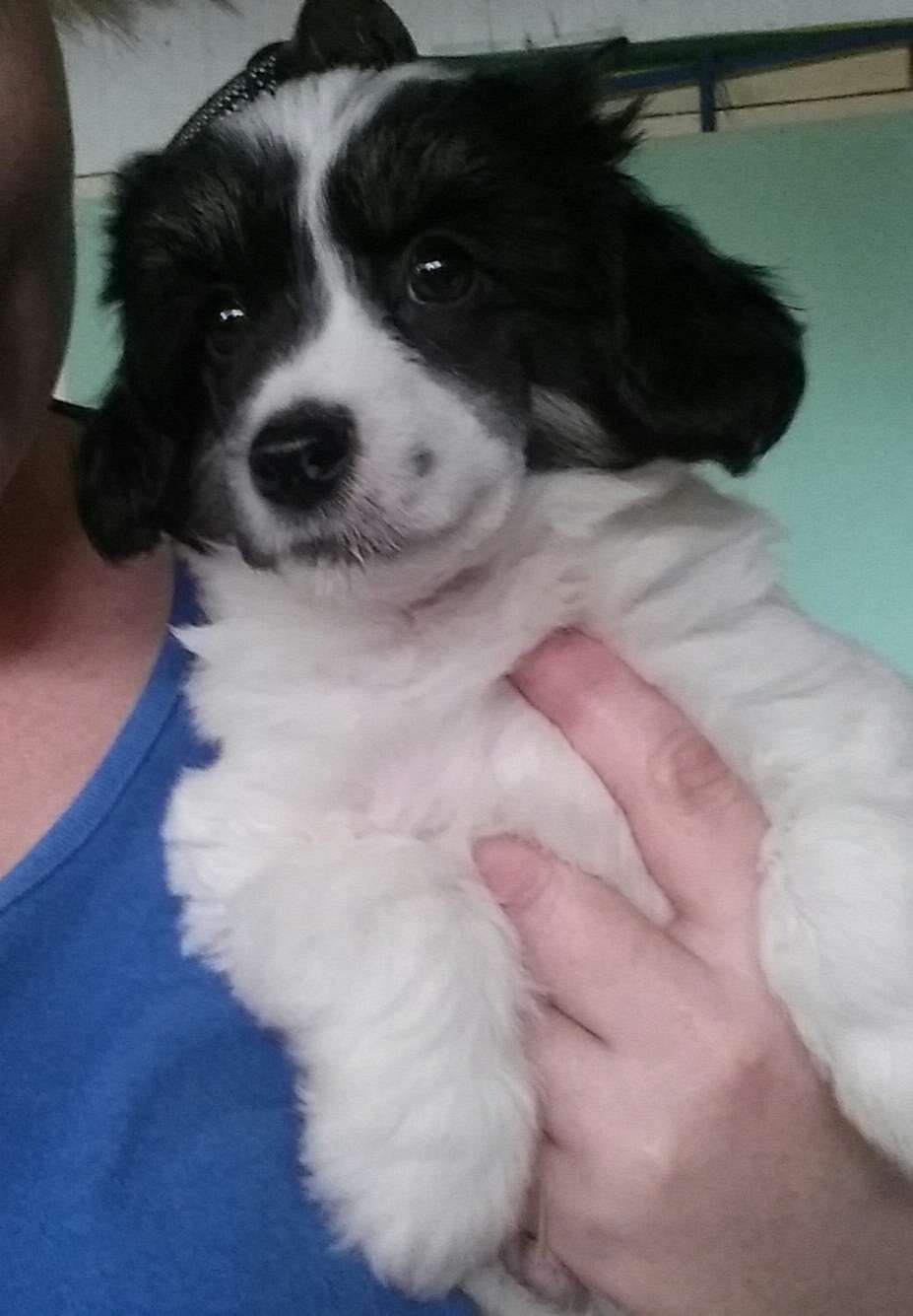 Entourage Bloke In A Cloak