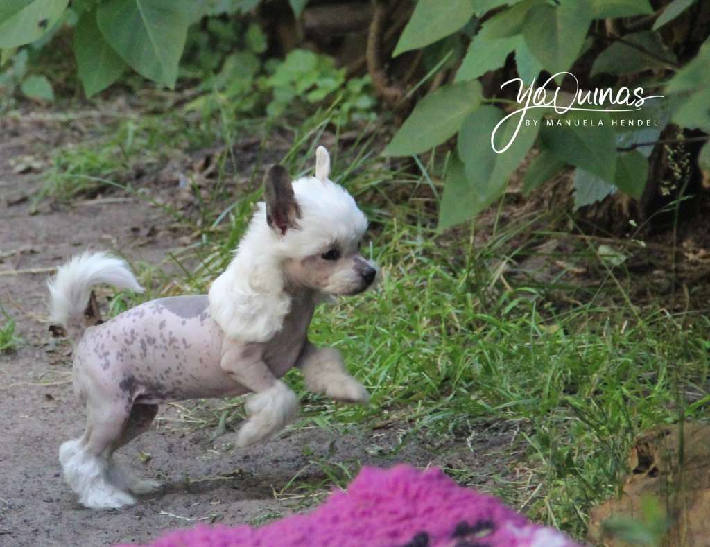 Yaquinas Make My Day Special