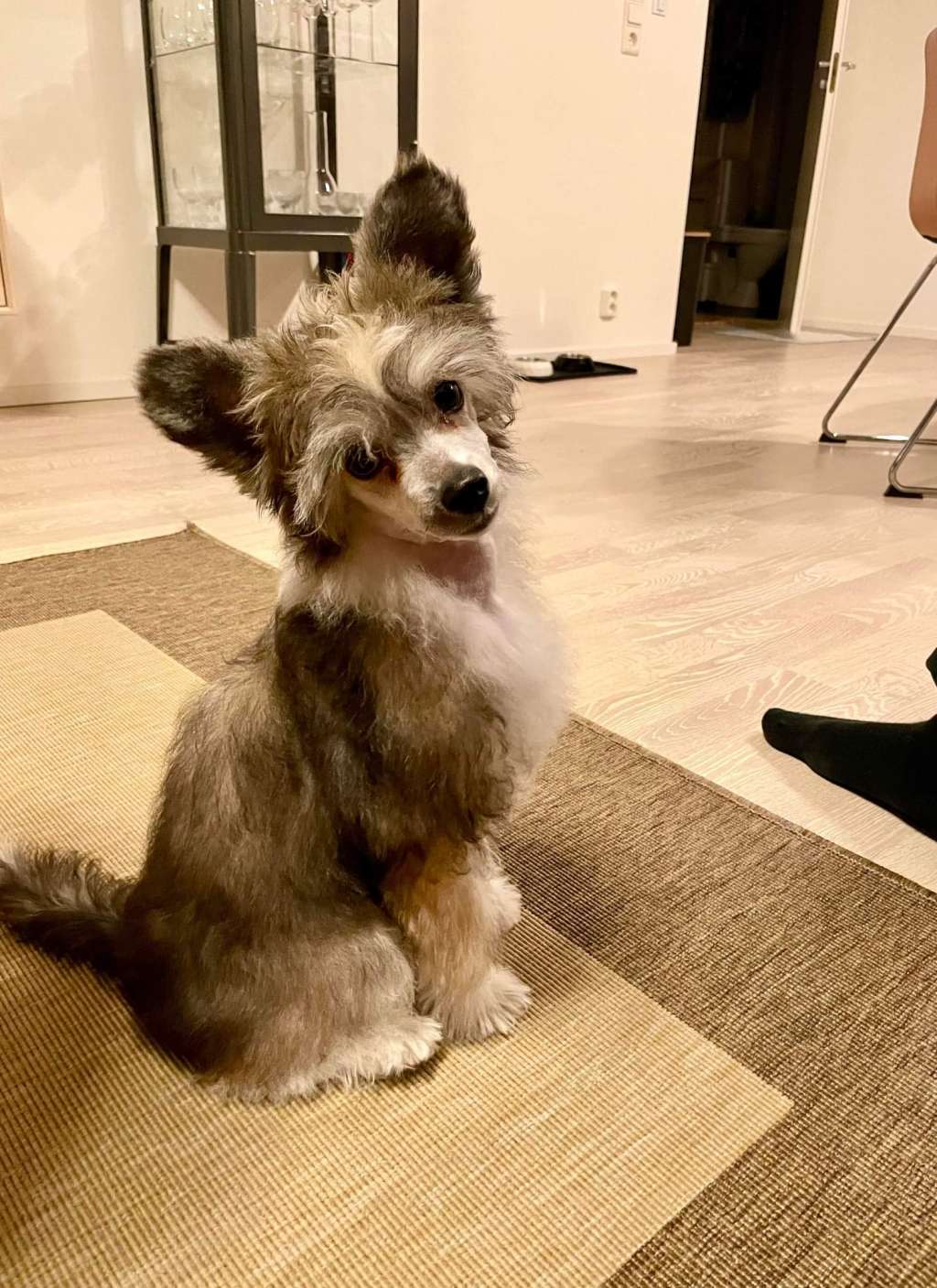 Viavrois Esthetic Effort