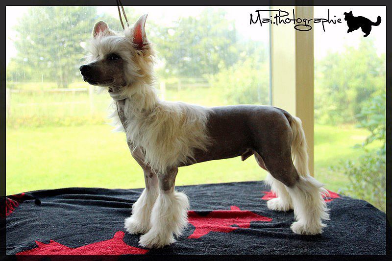 Lost In Germany, High Reward !!!